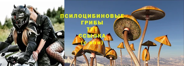 мяу мяу мука Беломорск