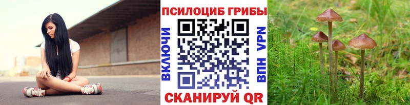 цены   Гремячинск  Галлюциногенные грибы GOLDEN TEACHER 